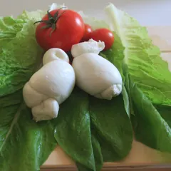 Nodini di mozzarella su foglie di lattuga, con pomodorini