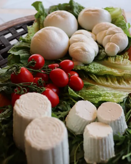 Mozzarelle, trecce e ricotte con i pomodorini su foglie di lattuga