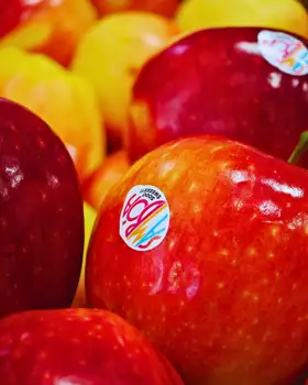 Mele rosse lucide da vicino, una con il bollino