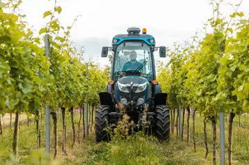 Un trattore azzurro da vigneto fra i filari