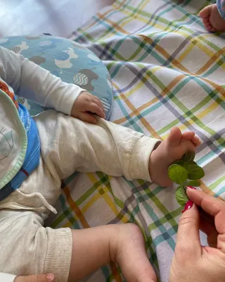 Il piedino di un bimbo e una foglia verde, su una coperta a quadri