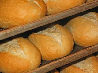 Panini dorati sulle assi della panetteria