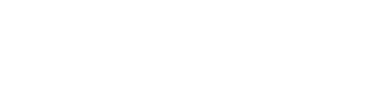 Linearredi di Rinaldo Pisa