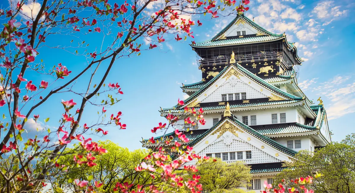 Il Castello di Osaka sotto il cielo azzurro, con i rami fioriti in primo piano