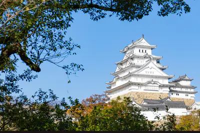 Il bianco Castello di Himeji tra i rami, contro il cielo