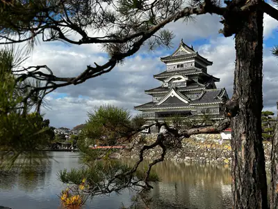 Il Castello di Matsumoto incorniciato dai rami di un pino, sul fossato
