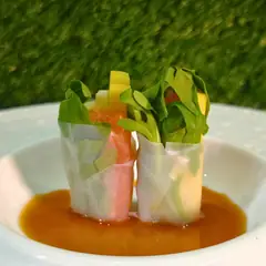 Involtini di carta di riso con verdure, su una salsa